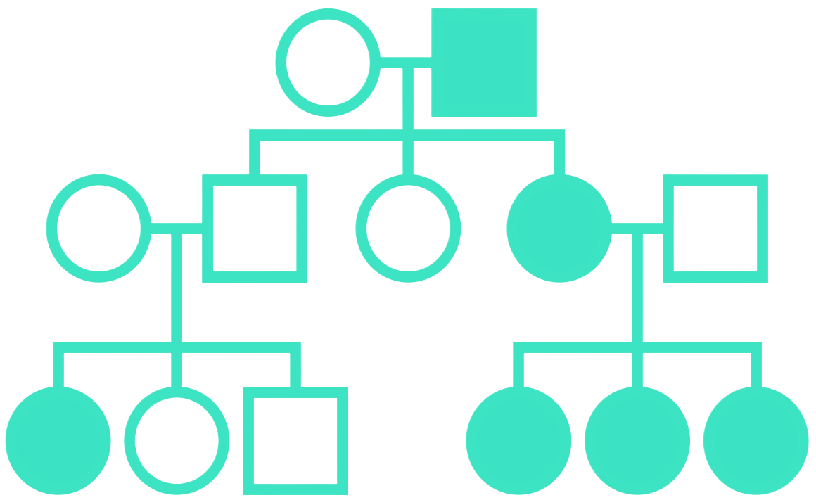 Custom Icon